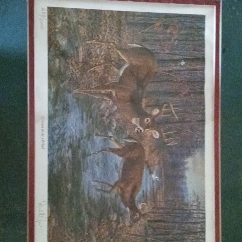 Limited edition signed print